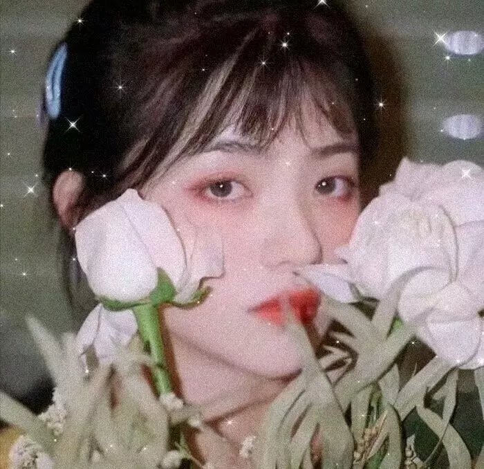 明星写真
